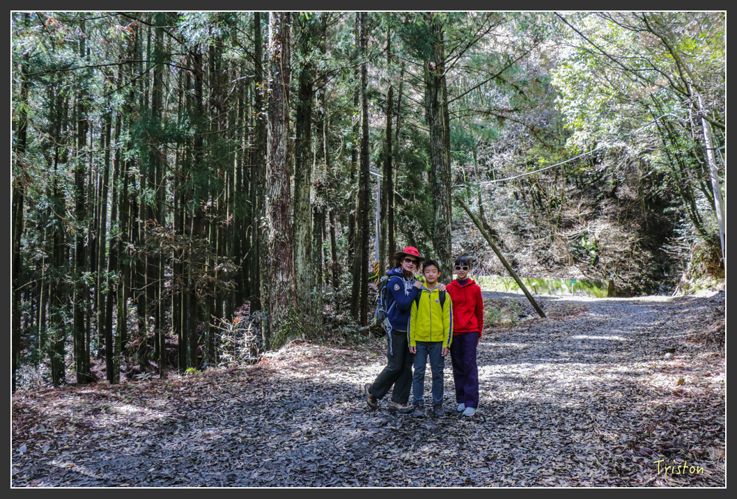 IMG_3401.jpg - 20160227 觀霧森林步道