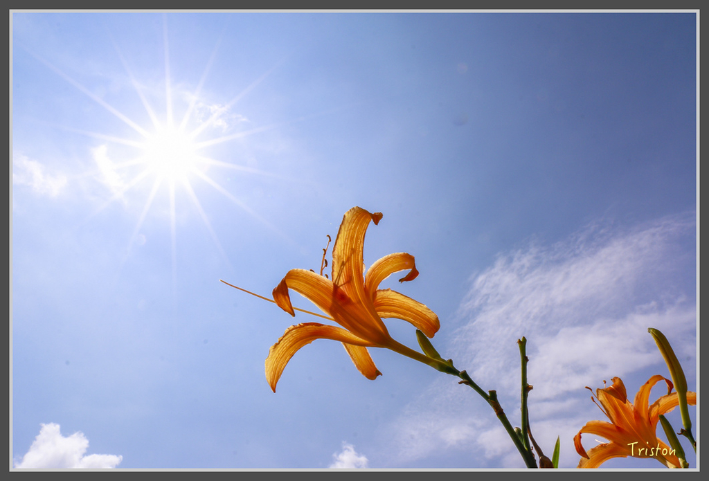 IMG-474.jpg - 20160821 中橫花東之旅