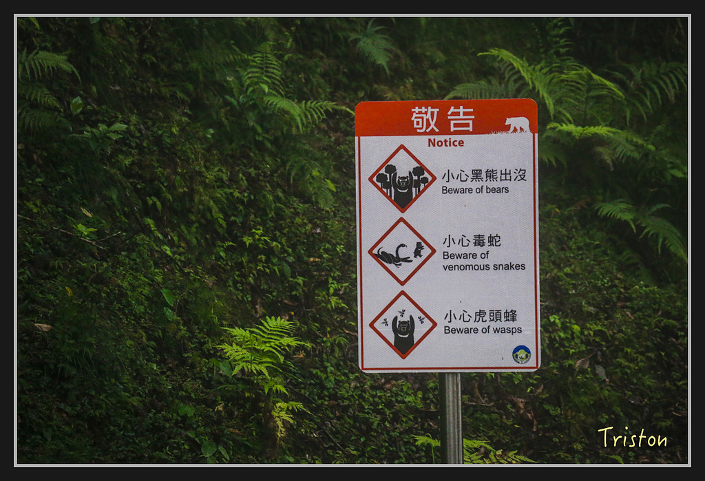 2017-02-27 10.03.53 下午 _MG_0407.jpg - 20170225 玉里瓦拉米