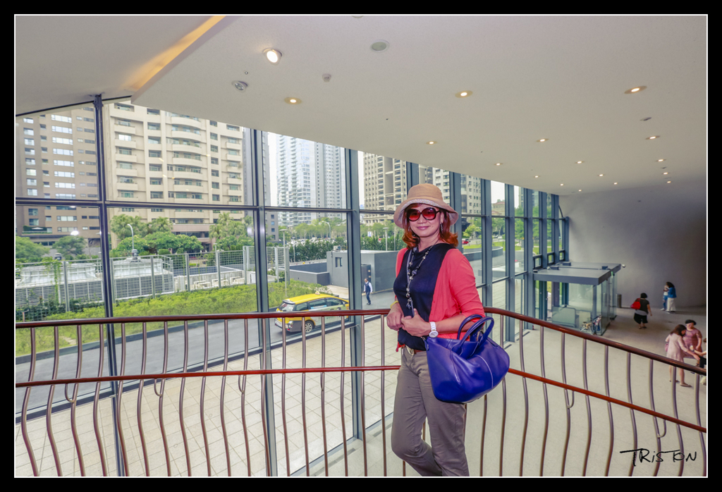 _H1A4282.jpg - 20170520 台中輕旅行-審記新村、忠信市場、國家歌劇院