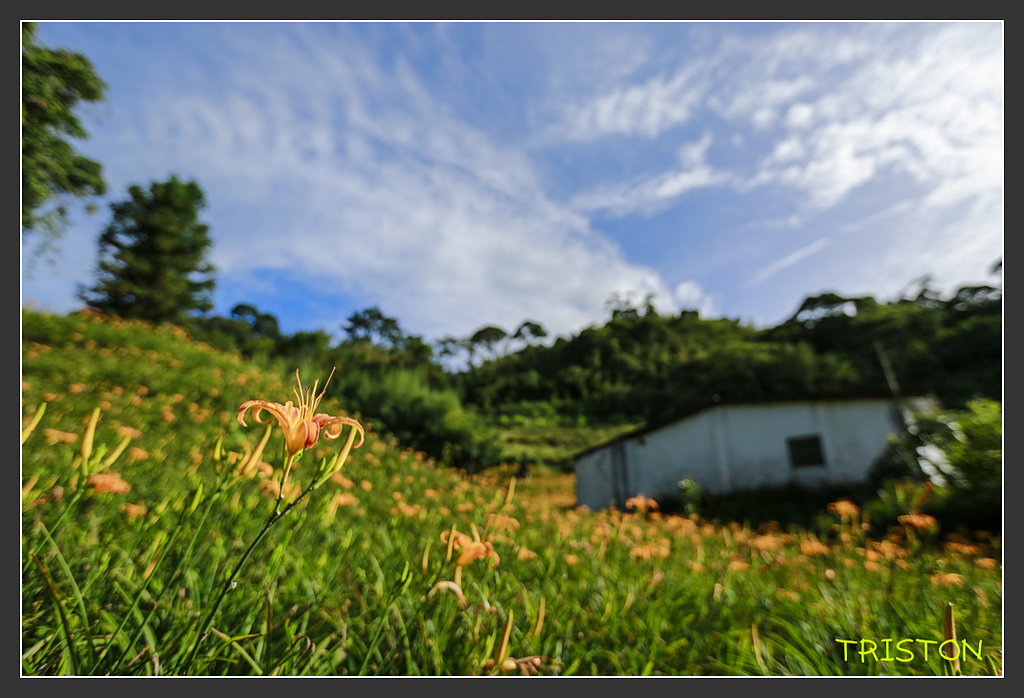 _H1A6626.jpg - 20170901 戀戀台九線