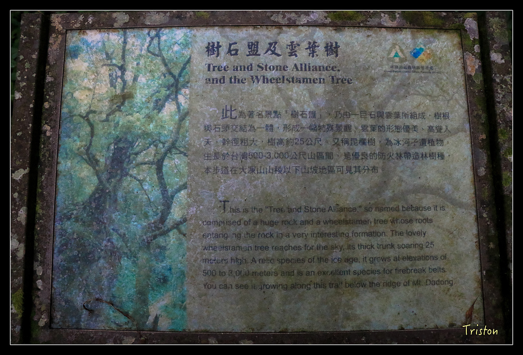 IMG_8314.jpg - 20150926 大凍山切霹靂山 抵龍雲山莊