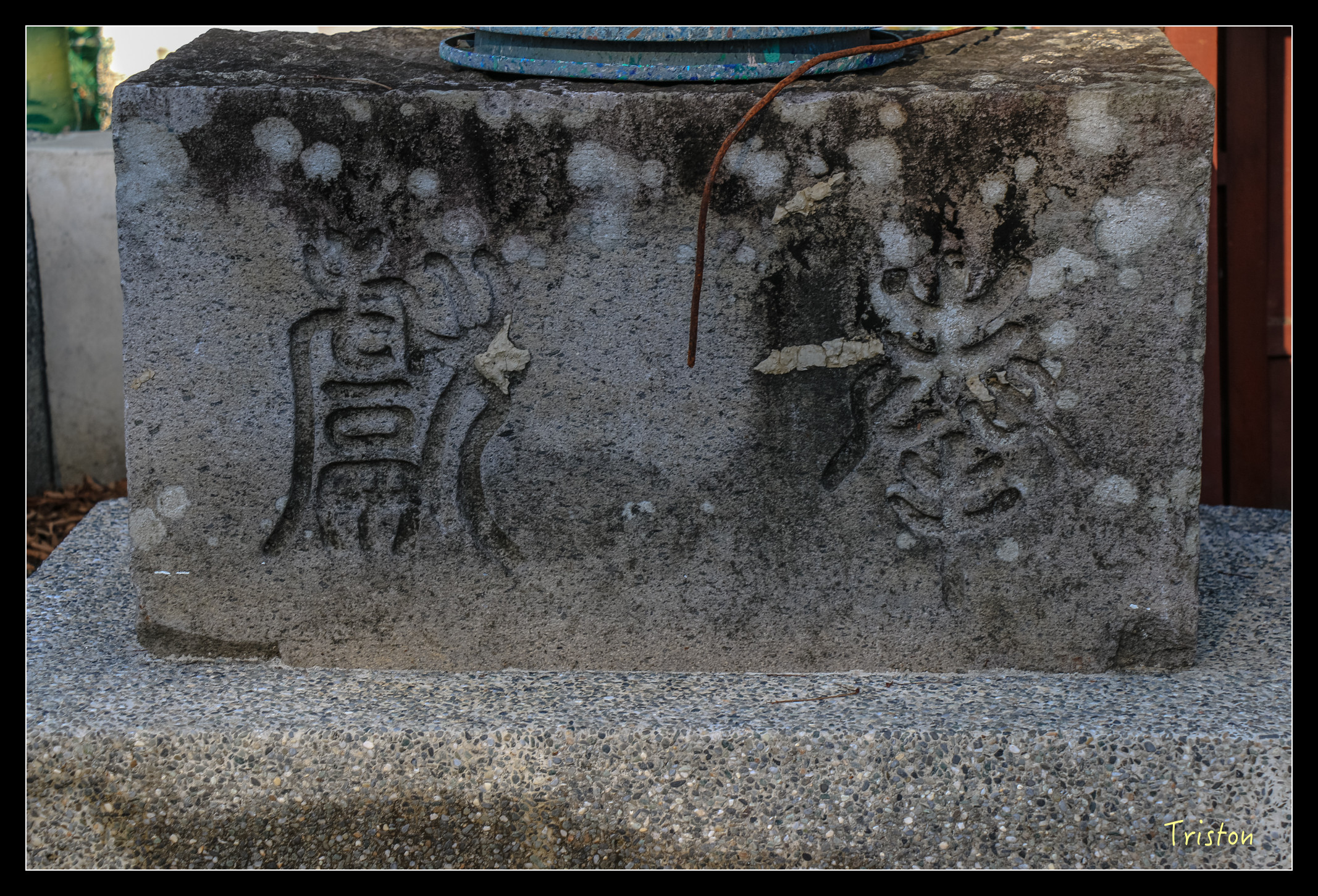 IMG_0273.jpg - 20151214 林內龍過脈步道