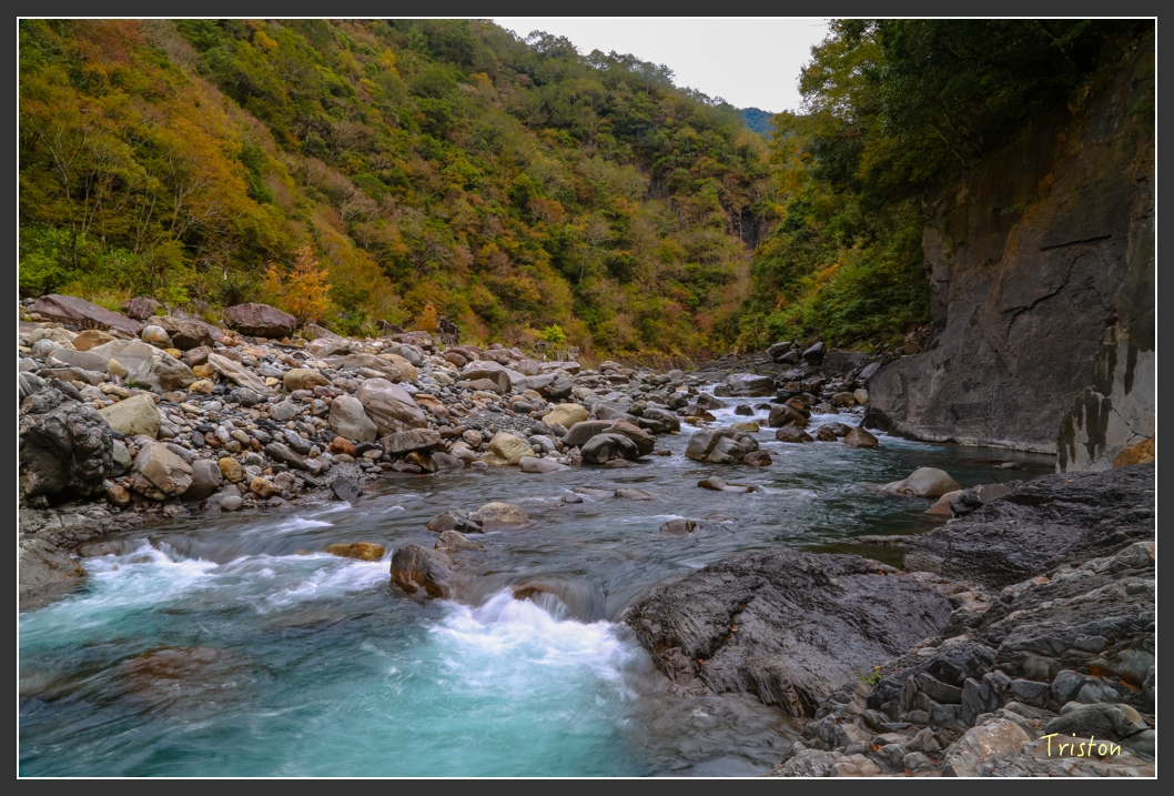 JH1A1279.jpg - 20151221 新竹秀巒賞楓