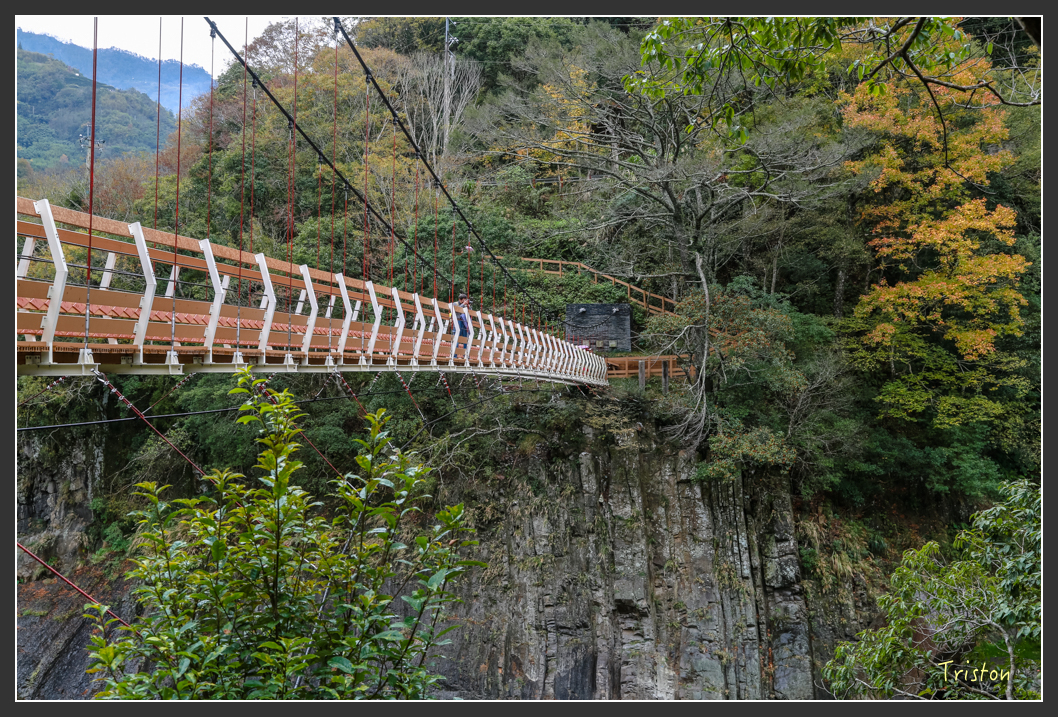 JH1A1341.jpg - 20151221 新竹秀巒賞楓