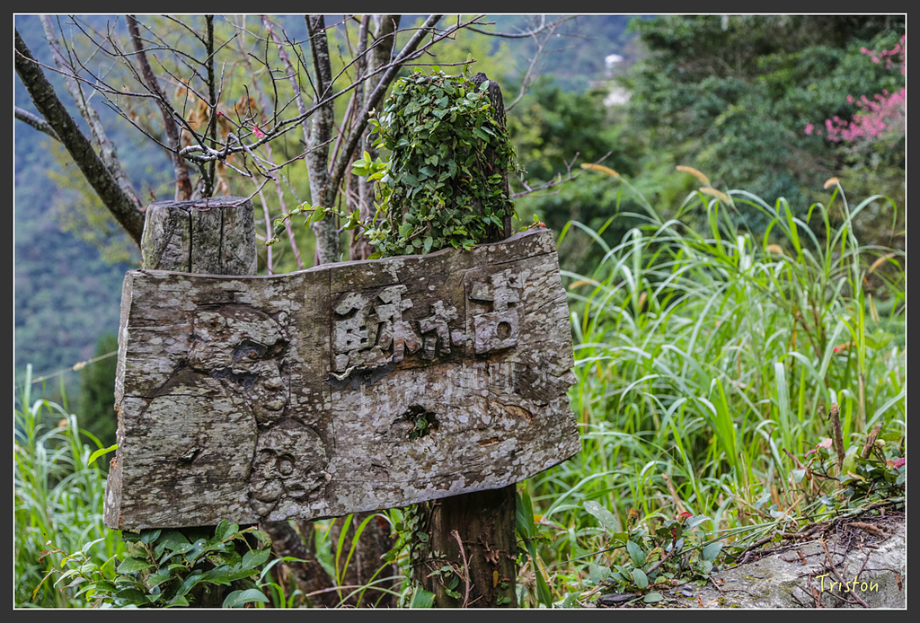 JH1A8201.jpg - 20160111 吉露、阿禮部落