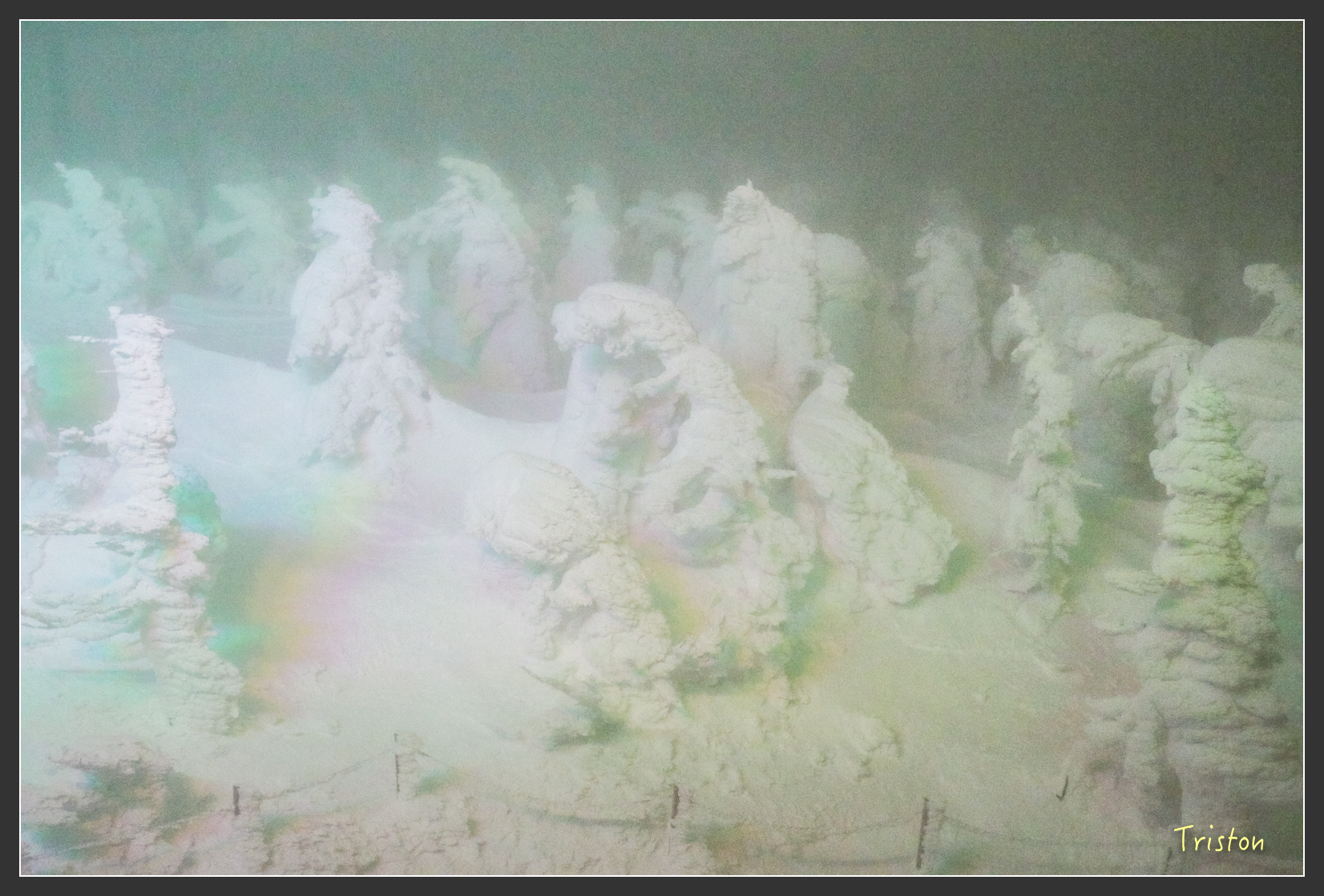 2016ZAO-00946.jpg - 20160131 日本藏王溫泉滑雪親子行