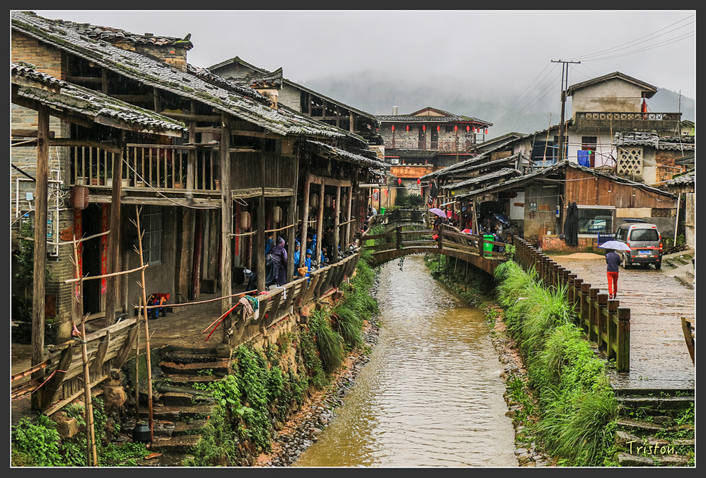 IMG_6552.jpg - 20160409 武夷山之旅