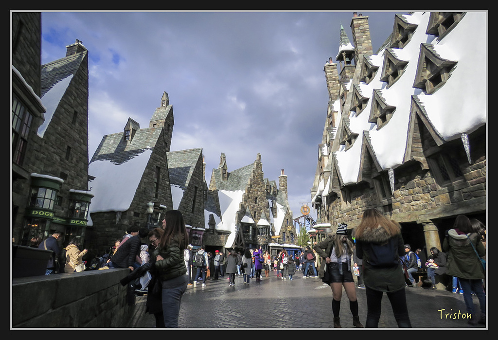 Canon-1046.jpg - 20170120 大阪神戶親子遊 