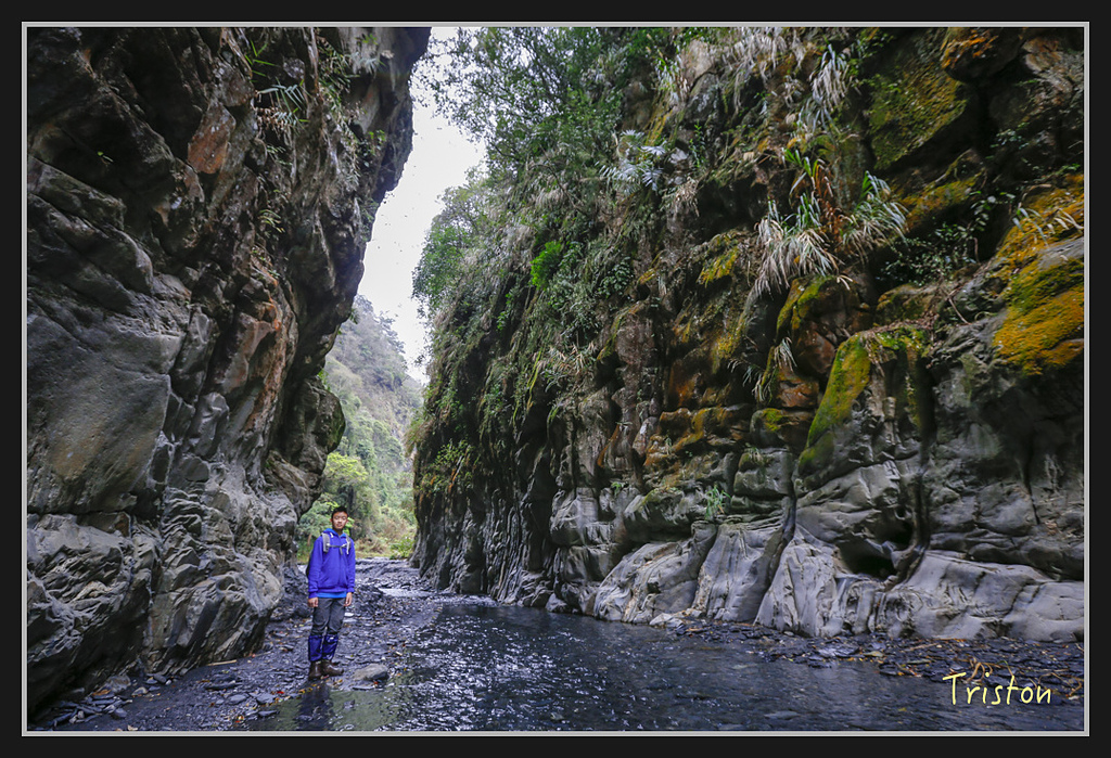 _H1A1879.jpg - 20170212 武界 萬大電廠 奧萬大