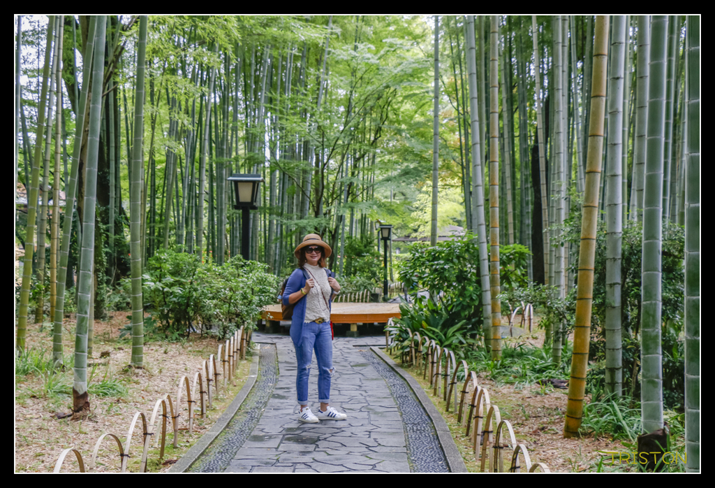 _MG_1245.jpg - 20170702 靜岡東海道之旅