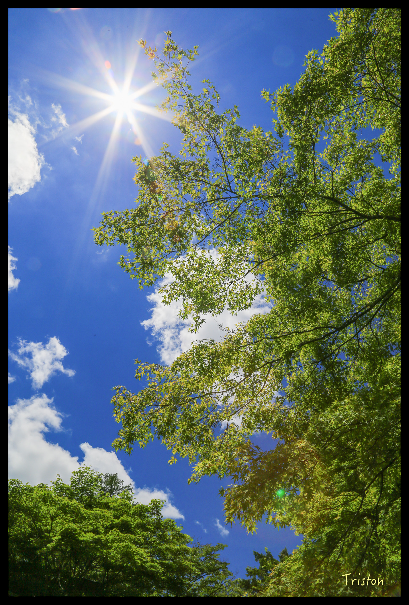 JH1A9060.jpg - 20150628 東京輕井澤日光