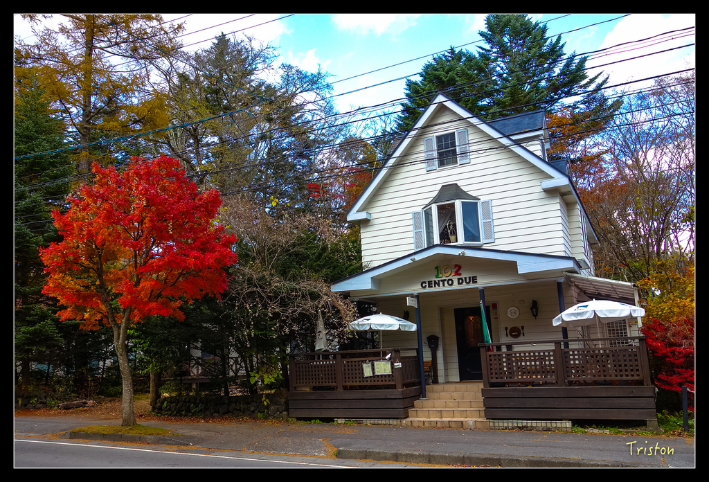 DSC00417.jpg - 20151031 秋天的童話-貴婦東京輕井澤紀行