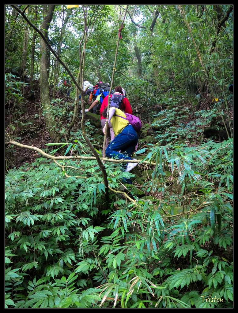 IMG_0578.jpg - 20151107 富士坪古道