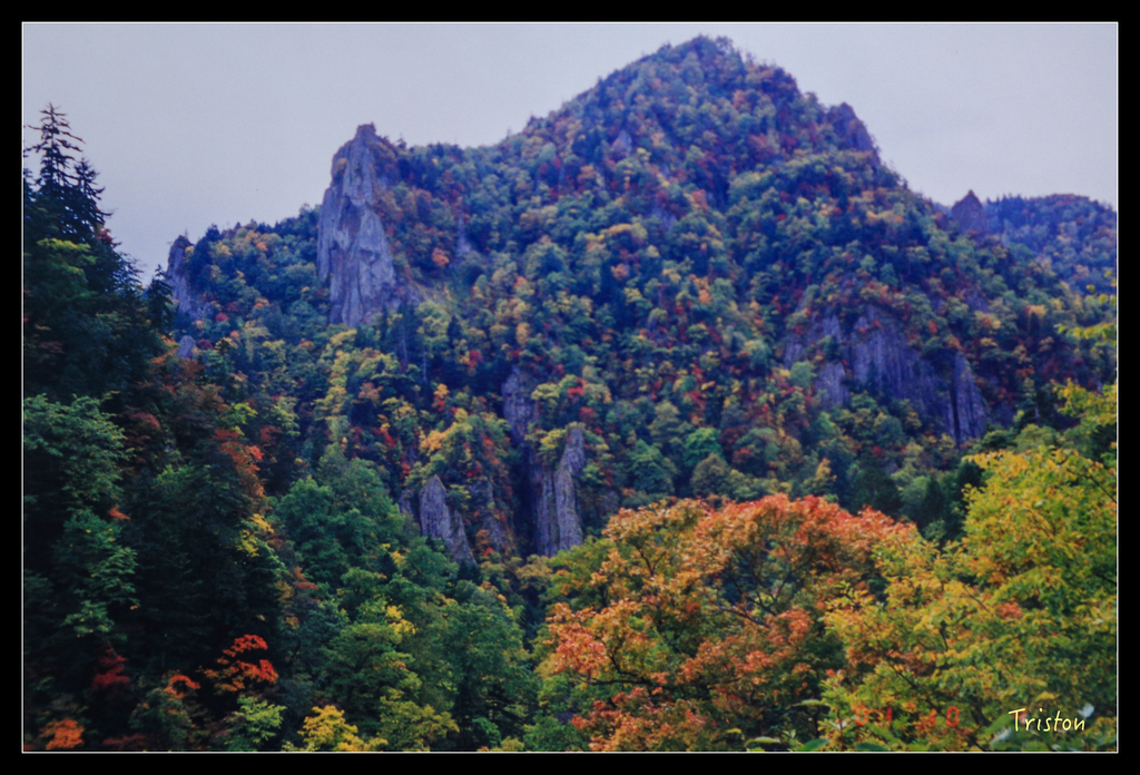 jh1a8710_21933860945_o.jpg - 20011002 北海道蜜月旅行