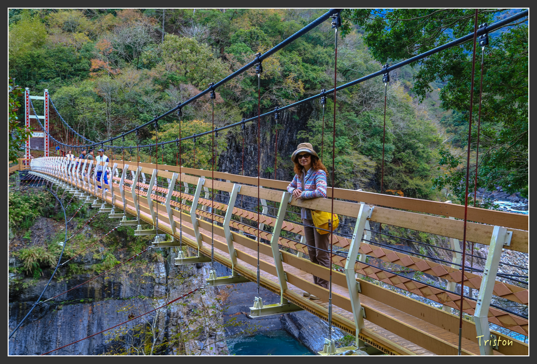 JH1A1375.jpg - 20151221 新竹秀巒賞楓