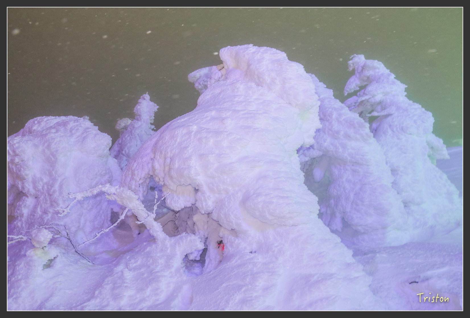 2016ZAO-00950.jpg - 20160131 日本藏王溫泉滑雪親子行