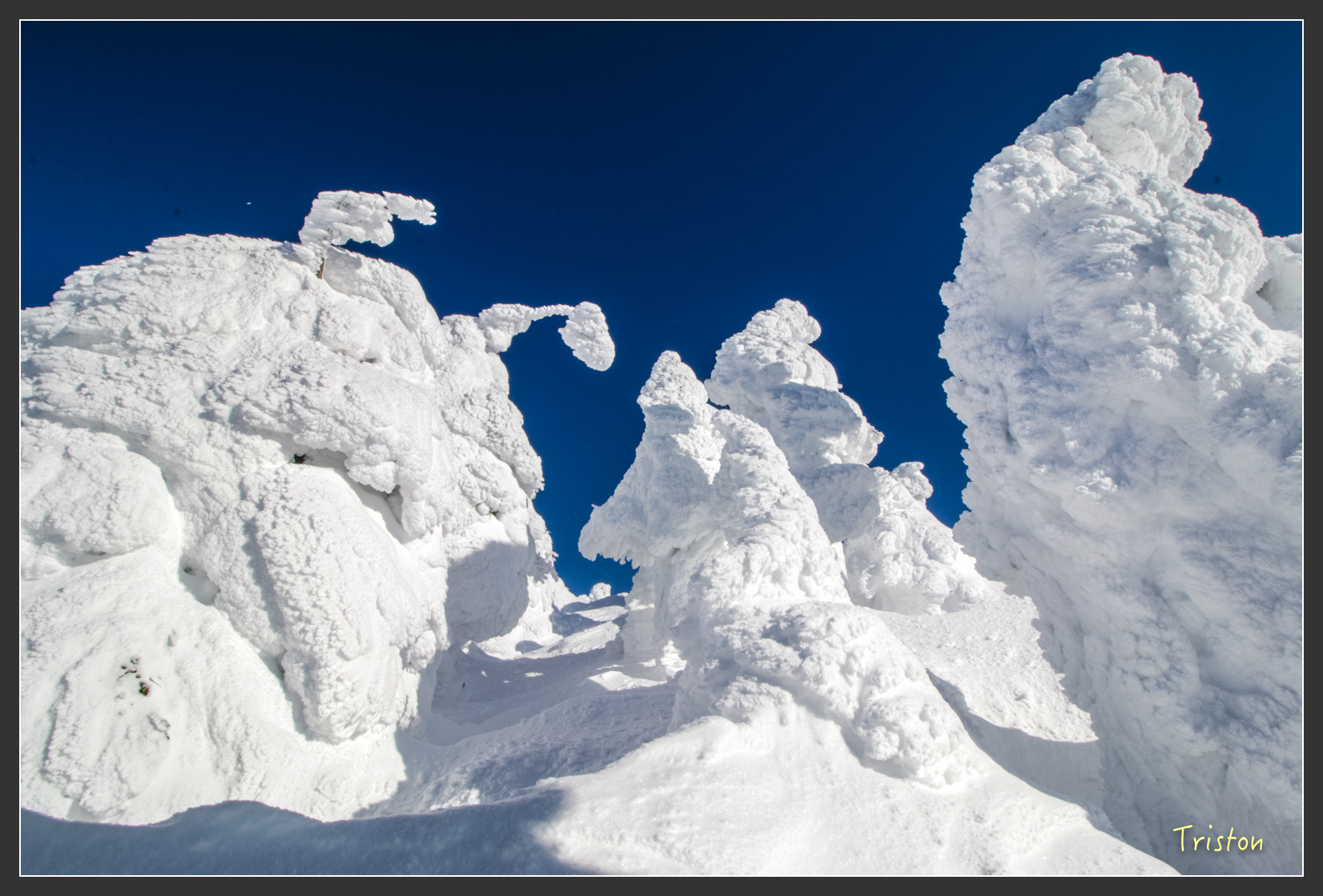 2016ZAO-01648.jpg - 20160131 日本藏王溫泉滑雪親子行