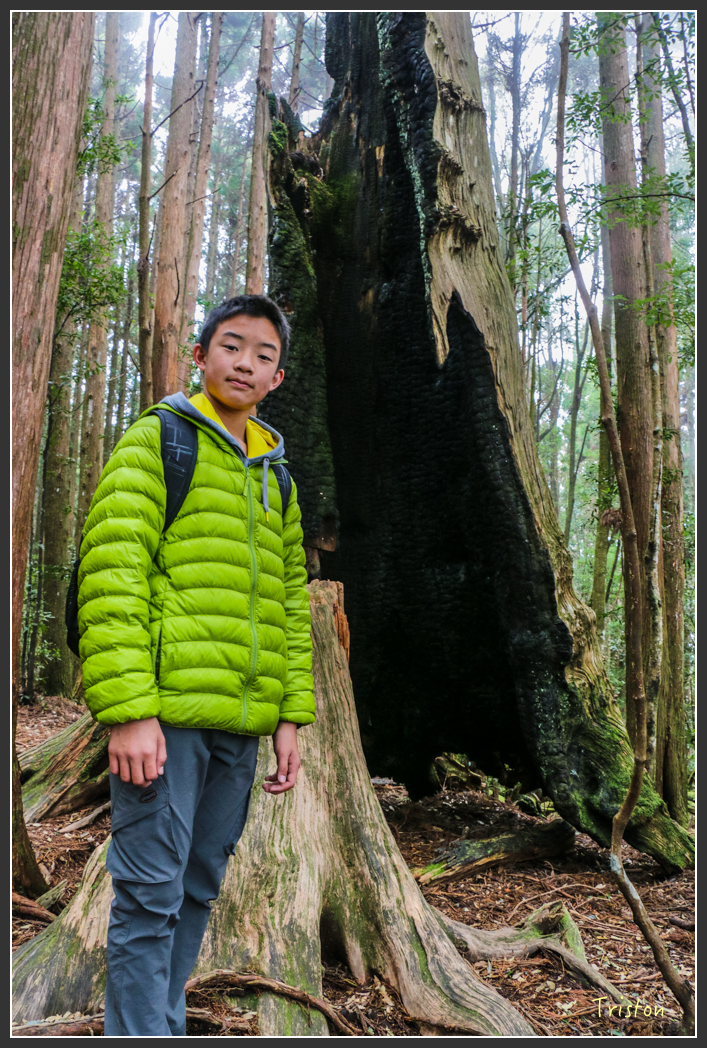 IMG_3449.jpg - 20160227 觀霧森林步道