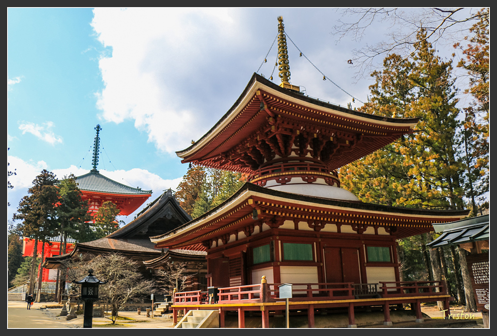 IMG_4534.jpg - 20160323 日本熊野古道健行