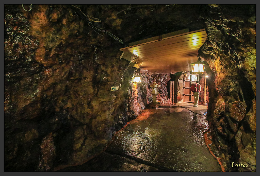 IMG_5924.jpg - 20160323 日本熊野古道健行