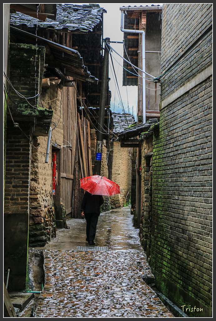 IMG_6559.jpg - 20160409 武夷山之旅