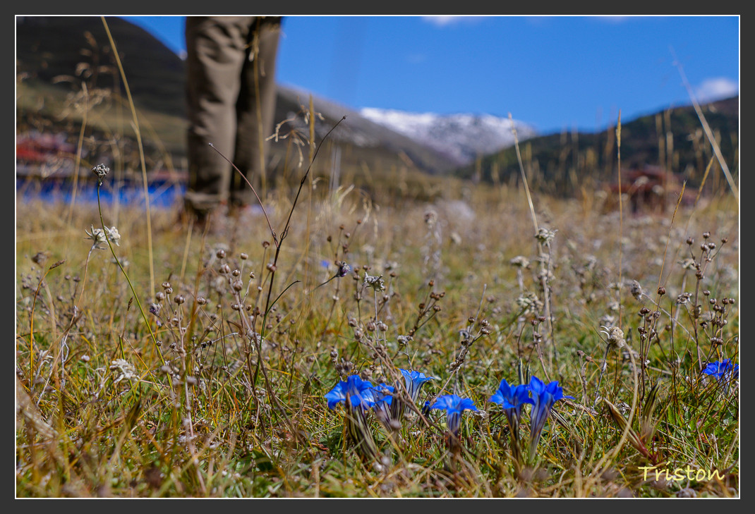 _MG_1269.jpg - 20161013 稻城亞丁