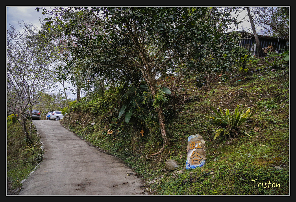 _H1A2216.jpg - 20170212 武界 萬大電廠 奧萬大