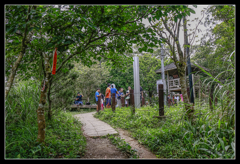 _MG_0116.jpg - 20170529 關仔嶺大凍山