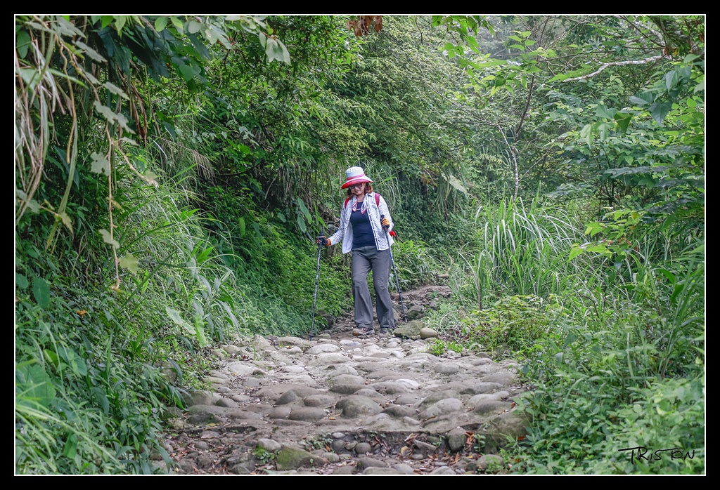 _MG_0130.jpg - 20170529 關仔嶺大凍山