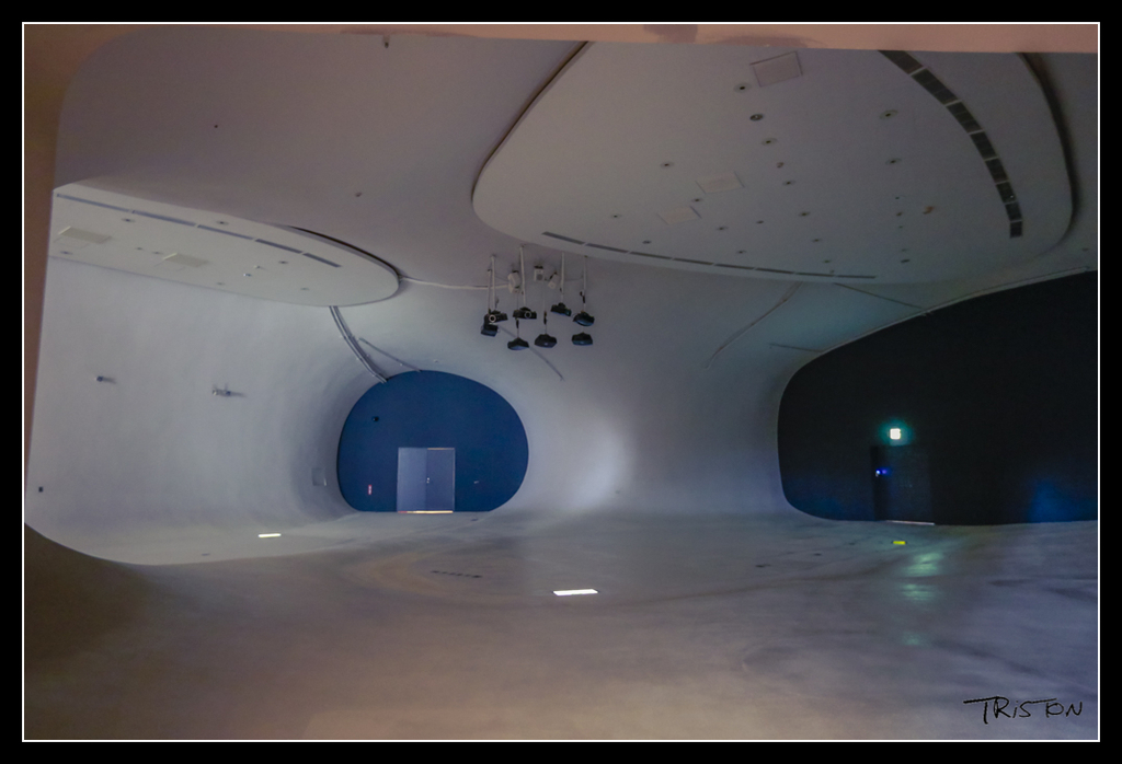 _H1A4301.jpg - 20170520 台中輕旅行-審記新村、忠信市場、國家歌劇院