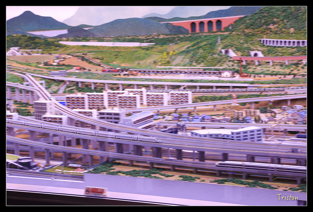 JH1A0317.jpg - 20150628 東京輕井澤日光