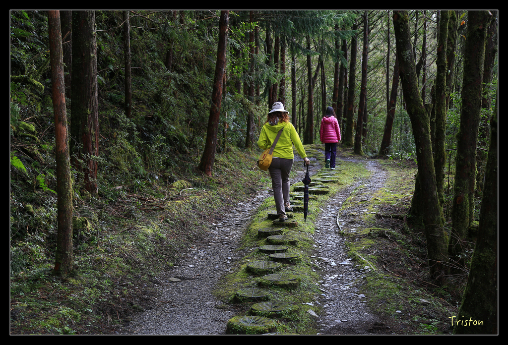 JH1A0134.jpg - 20151024~25 幾米公園、翠峰湖、翠峰山屋、望洋山步道、山毛櫸步道