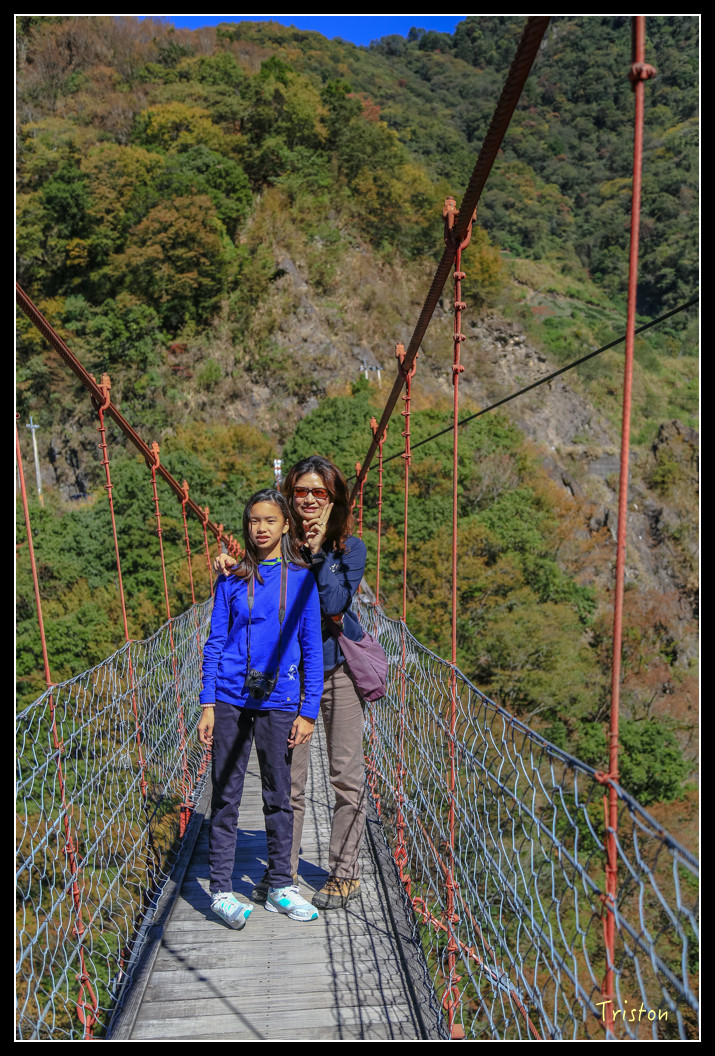 JH1A0577.jpg - 20151205 合歡溪步道、108K楓之谷