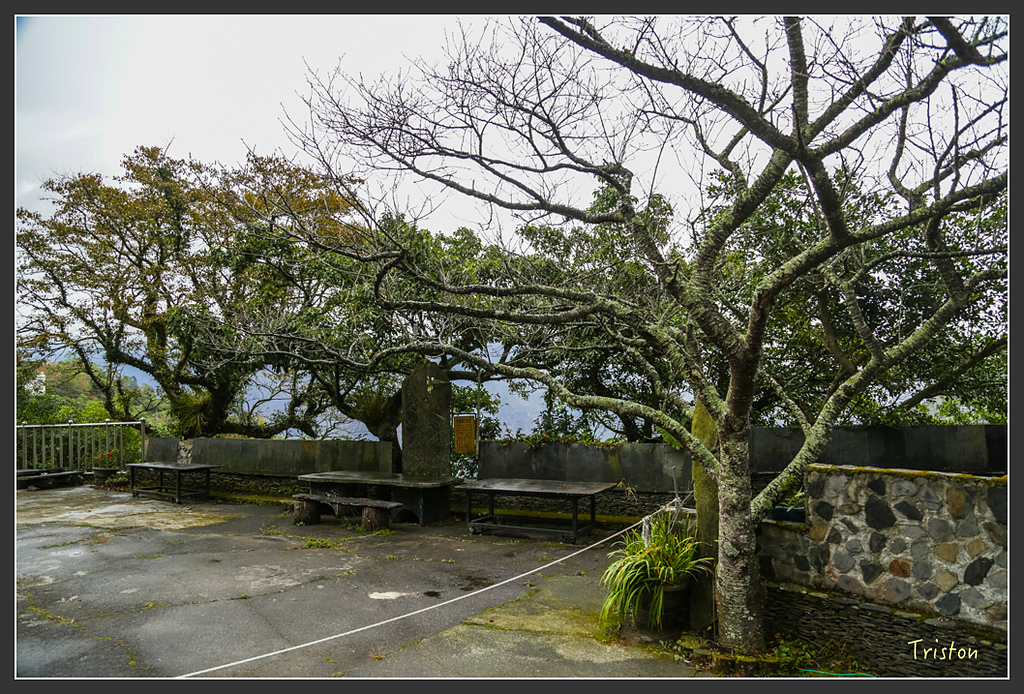 JH1A8211.jpg - 20160111 吉露、阿禮部落