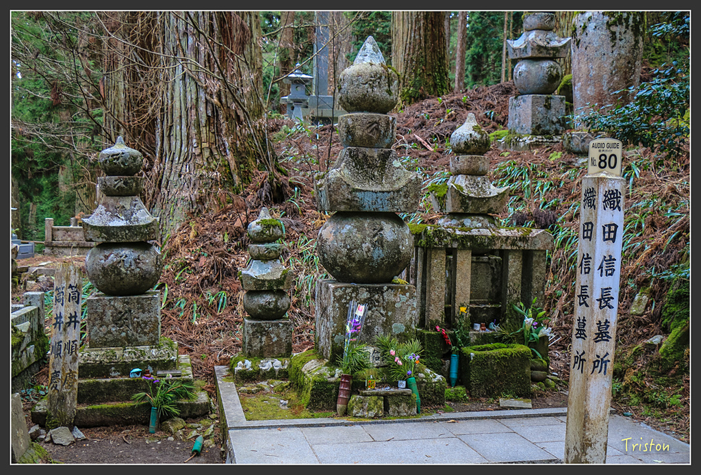 IMG_4597.jpg - 20160323 日本熊野古道健行