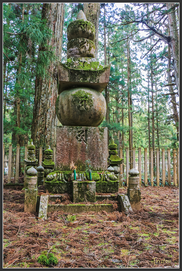 IMG_4589.jpg - 20160323 日本熊野古道健行