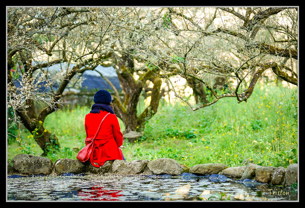 _H1A1229.jpg - 20170117 烏松崙、竹青庭