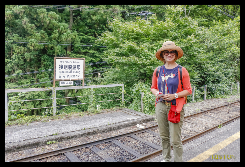 _MG_0641.jpg - 20170702 靜岡東海道之旅