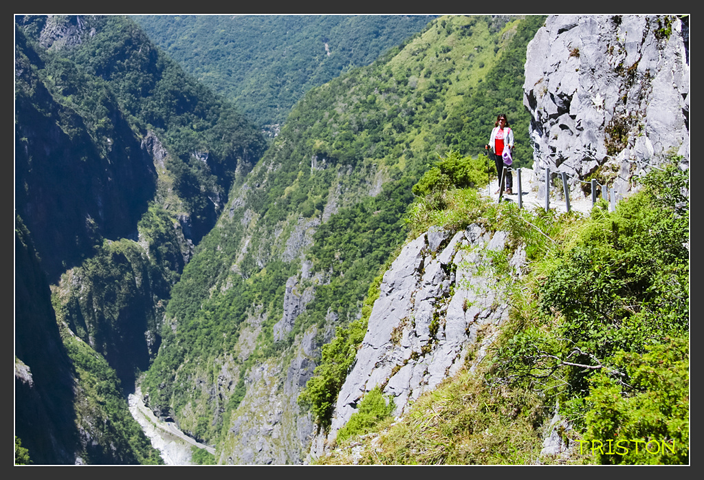 _H1A6384.jpg - 20170901 戀戀台九線