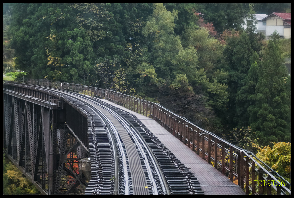 _H1A0282.jpg - 20171103 日本只見線、會津若松五色沼、昭和記念公園賞紅葉