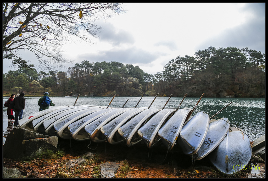 _H1A1153.jpg - 20171103 日本只見線、會津若松五色沼、昭和記念公園賞紅葉
