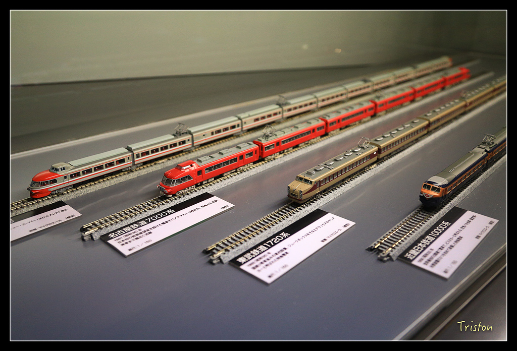 JH1A0283.jpg - 20150628 東京輕井澤日光