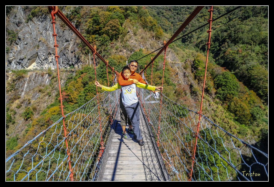 JH1A0580.jpg - 20151205 合歡溪步道、108K楓之谷