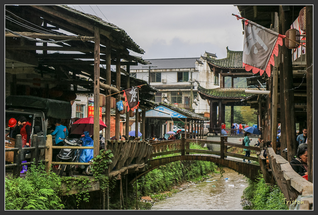 IMG_6564.jpg - 20160409 武夷山之旅