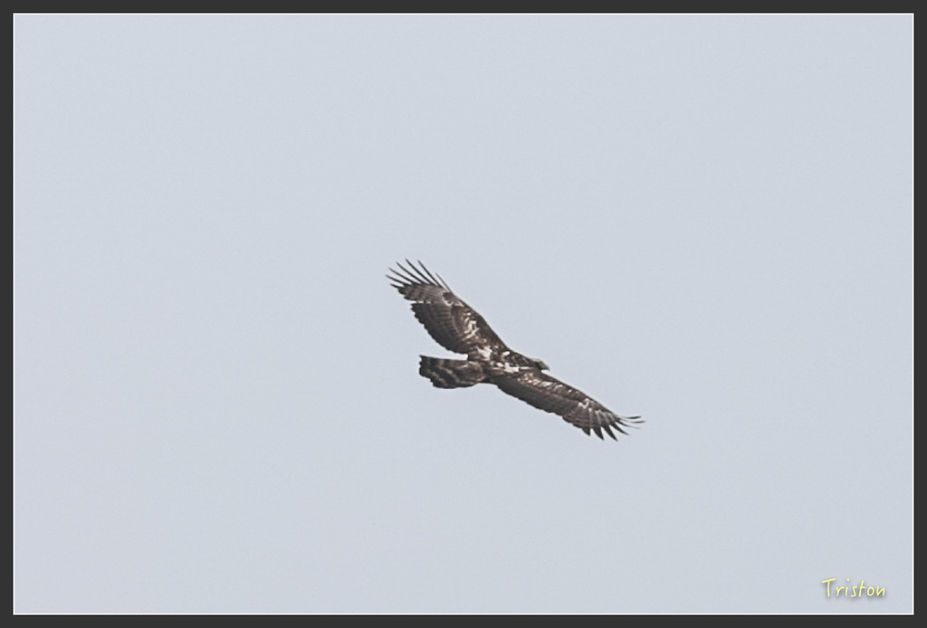 JH1A8731.jpg - 20160426 銅鑼天空步道、天空之城、荷苞山