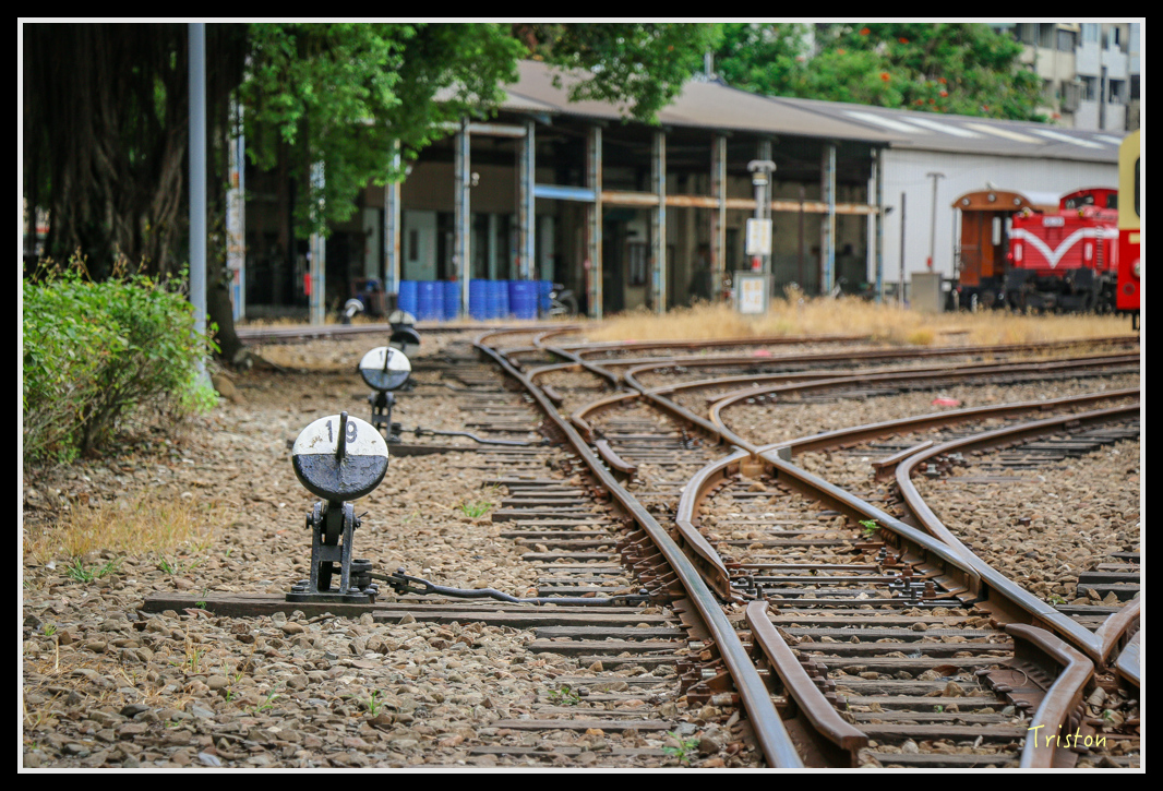 IMG_7573.jpg - 20160609 嘉義一日小旅行