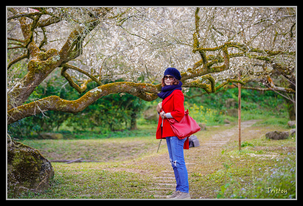 _H1A1238.jpg - 20170117 烏松崙、竹青庭