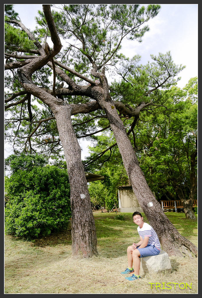 _H1A6537.jpg - 20170901 戀戀台九線