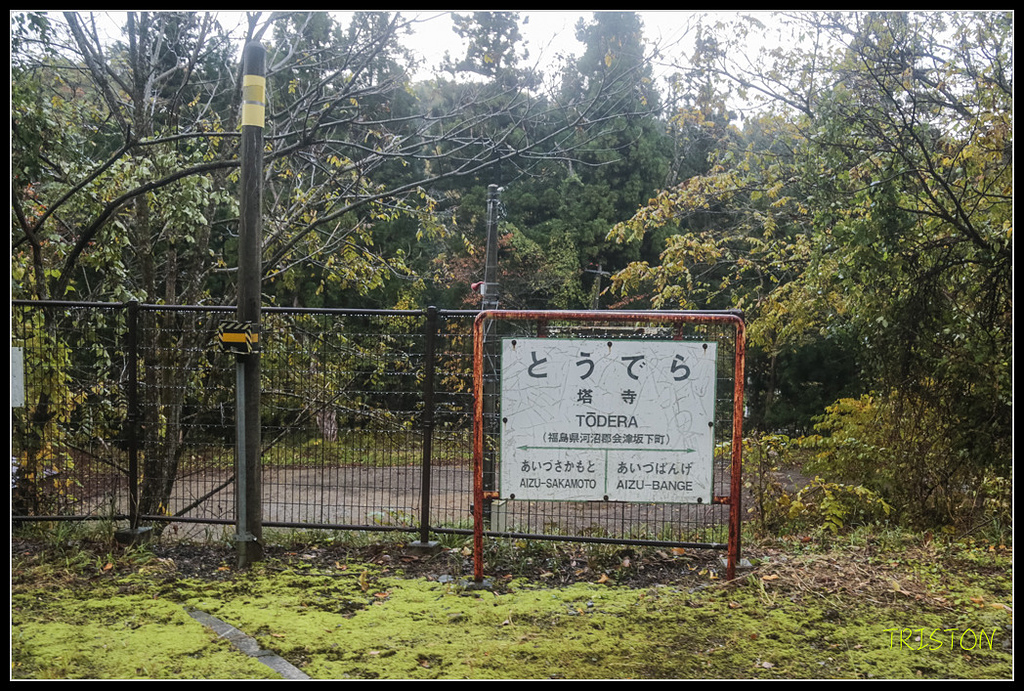 _H1A0257.jpg - 20171103 日本只見線、會津若松五色沼、昭和記念公園賞紅葉